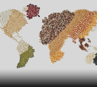 Exportación