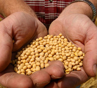 Producción